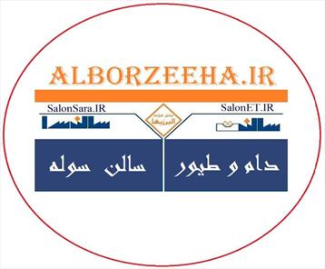 مشاور املاک البرزیها