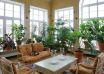 مکان های خطرناک برای نگهداری از گیاهان آپارتمانی