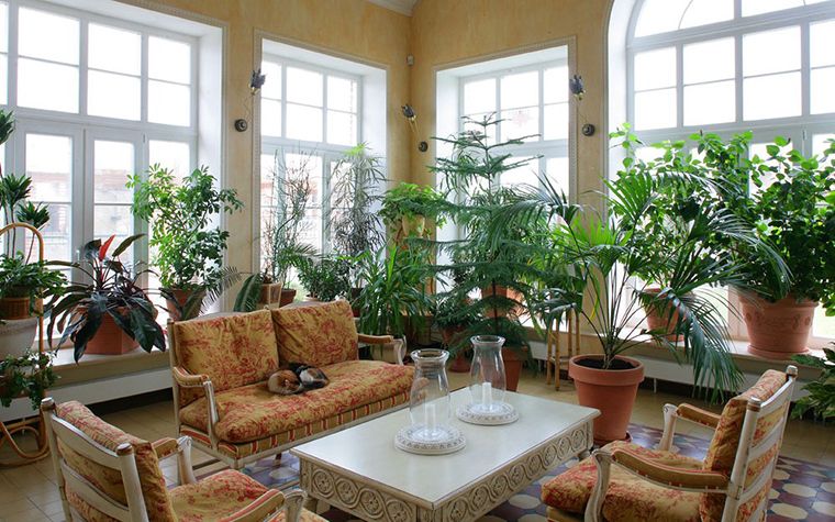 مکان های خطرناک برای نگهداری از گیاهان آپارتمانی