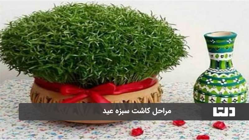 کاشت سبزه عید