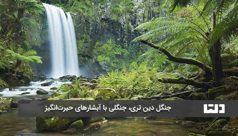 آبشارهای جنگل