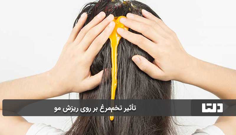 تأثیر تخم‌مرغ بر روی ریزش مو