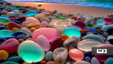 ساحل شیشه ای کالیفرنیا