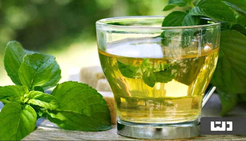بهترین زمان برای نوشیدن چای سبز به منظور کاهش وزن