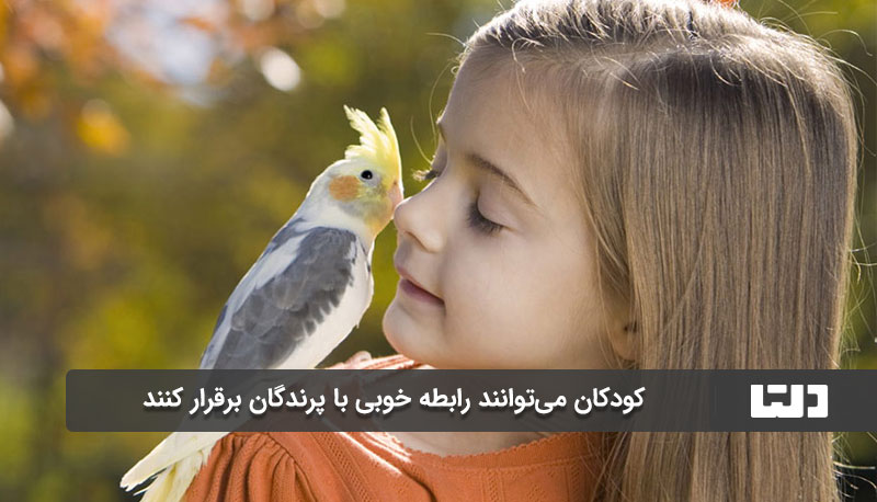 کودکان با پرندگان ارتباط خوبی برقرار می کنند