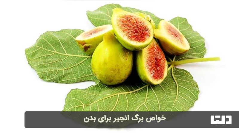 خواص دمنوش برگ انجیر