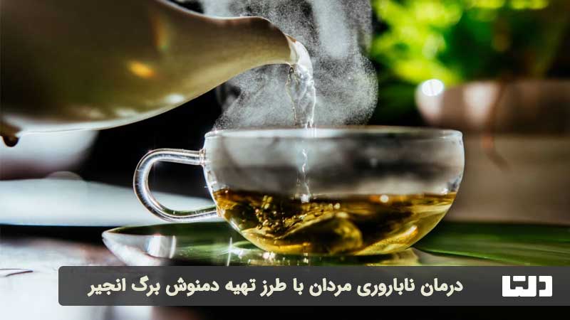 طرز تهیه دمنوش برگ انجیر برای ناباروری