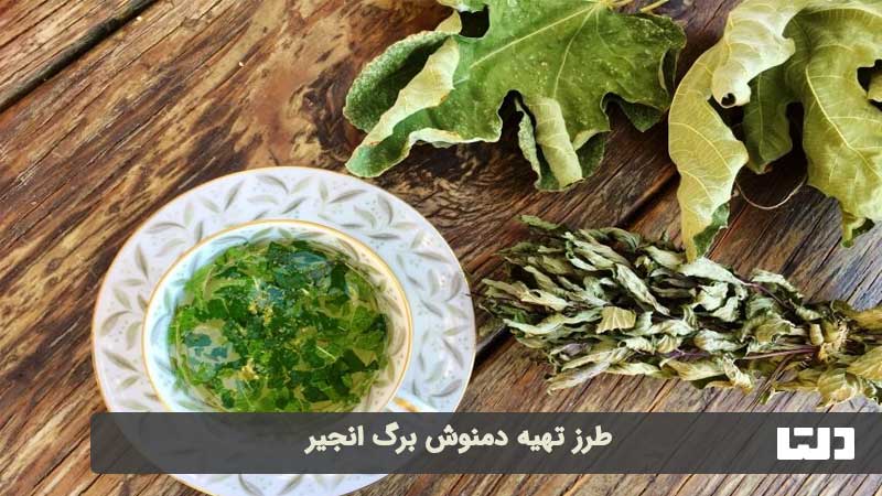 طرز تهیه دمنوش برگ انجیر