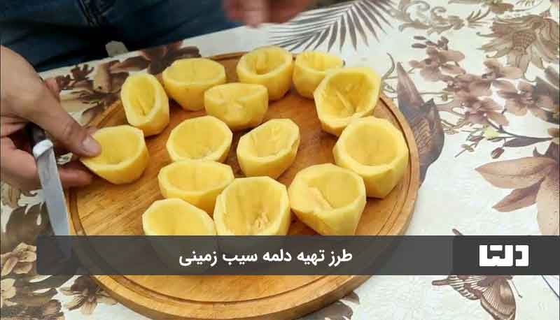 طرز تهیه دلمه