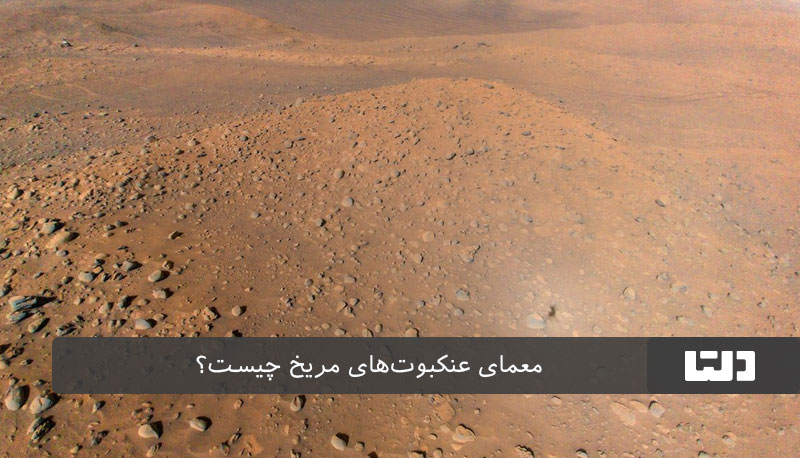 موچودات زنده در مریخ