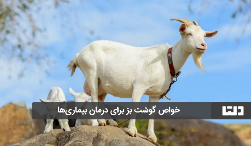 گوشت بز