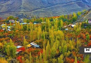 سفر یک روزه به جاده چالوس