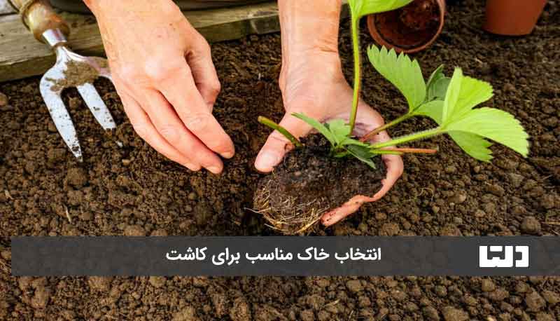 انتخاب خاک مناسب برای کاشت خیار در گلدان 