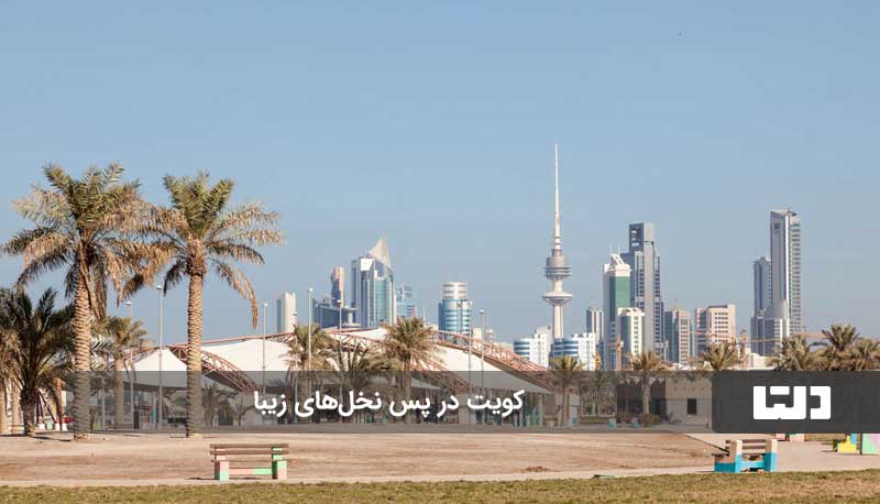 نخل های کویت