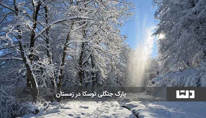 تهران گردی در زمستان یک کار هیجان‌انگیز و باحال!