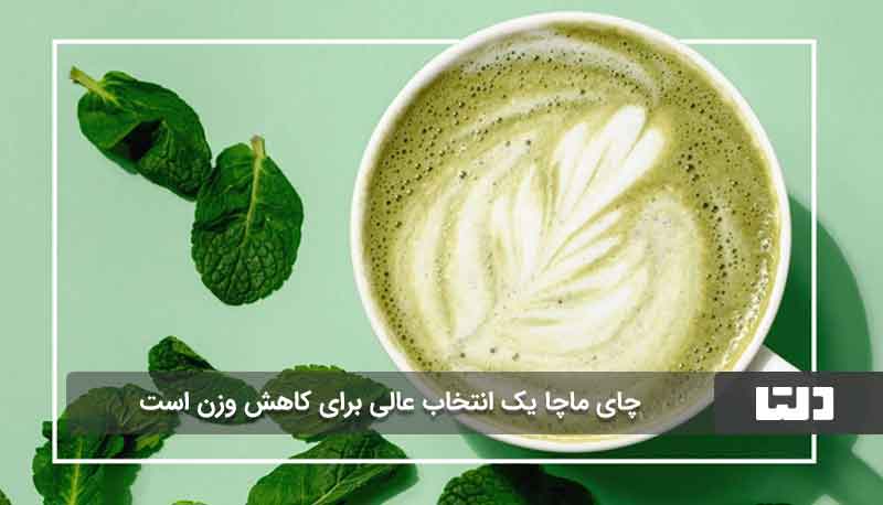 طریقه مصرف چای ماچا برای لاغری چگونه است؟