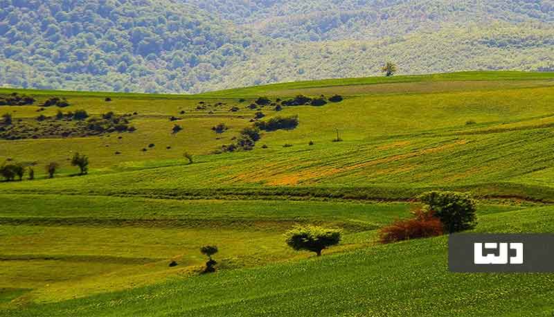 خرید زمین در شمال