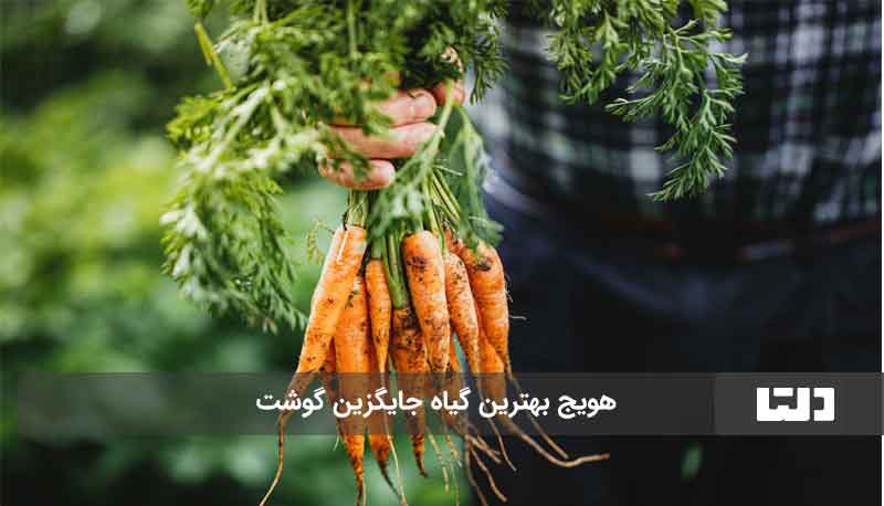 جایگزین گوشت قرمز