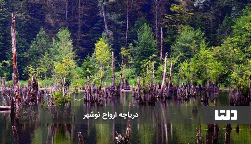 دریاچه ارواح نوشهر، مقصدی با طعم ترس و هیجان