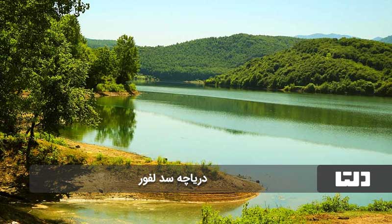 جنگل لفور کجاست؟