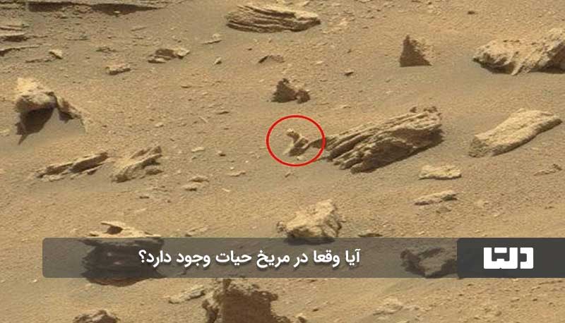 موجودات فرازمینی در مریخ دلتامگ
