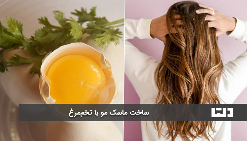 ساخت ماسک مو با تخم‌مرغ