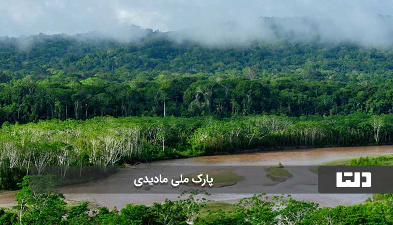 پارک ملی مادیدی، پارکی که می‌تواند انسان را فلج کند!