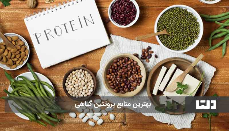 منابع پروتئین گیاهی