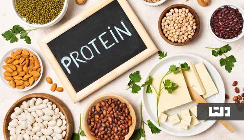 پروتئین گیاهی