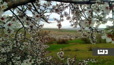 بهترین روستاهای بروجرد