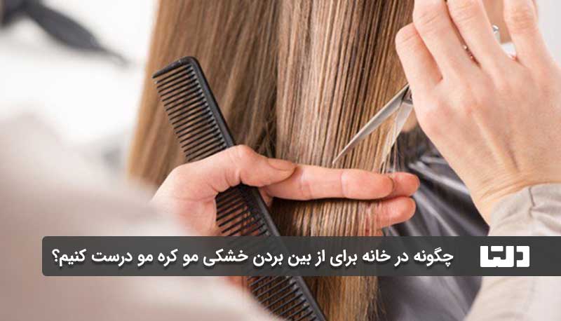 چگونه در خانه برای از بین بردن خشکی مو کره مو درست کنیم؟