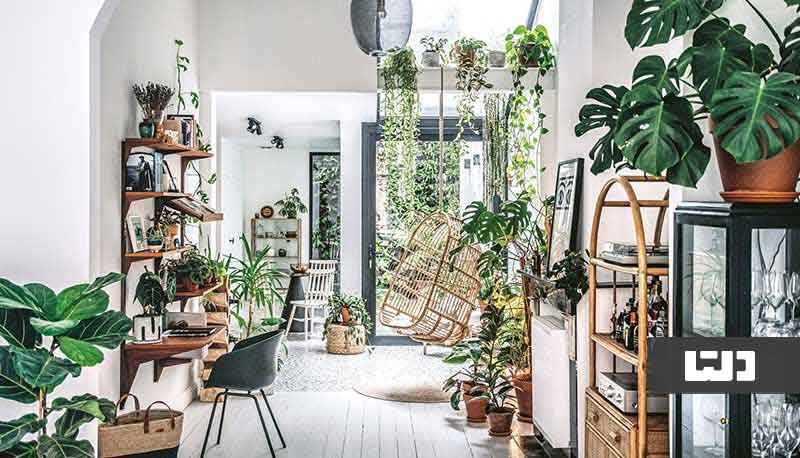 تزیین خانه با گیاهان