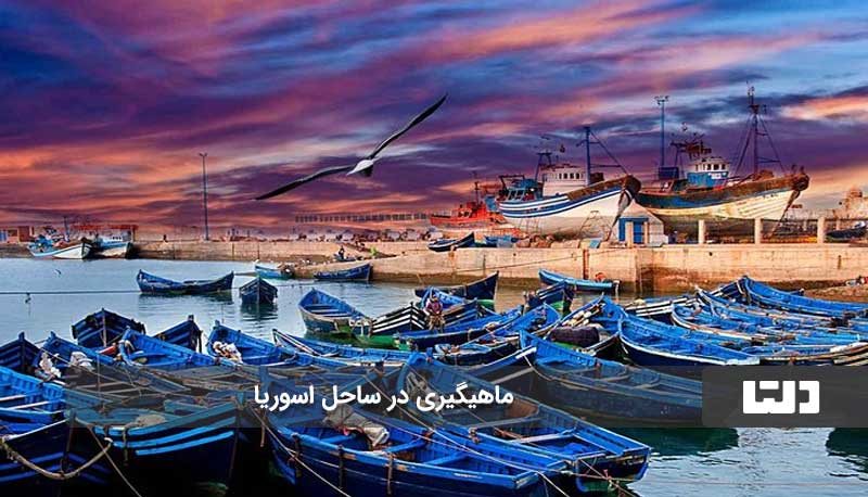 Essaouira  دهکده‌ای جذاب برای ماهیگیری