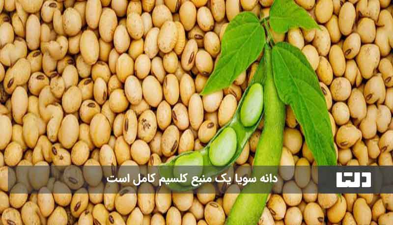 منابع غذایی سرشار از کلسیم