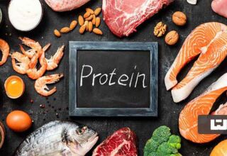 منابع پروتئین