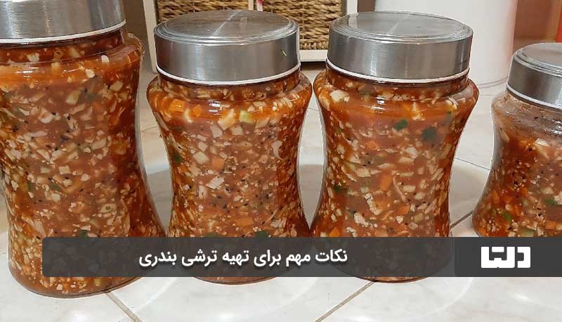 نکات مهم برای تهیه ترشی بندری