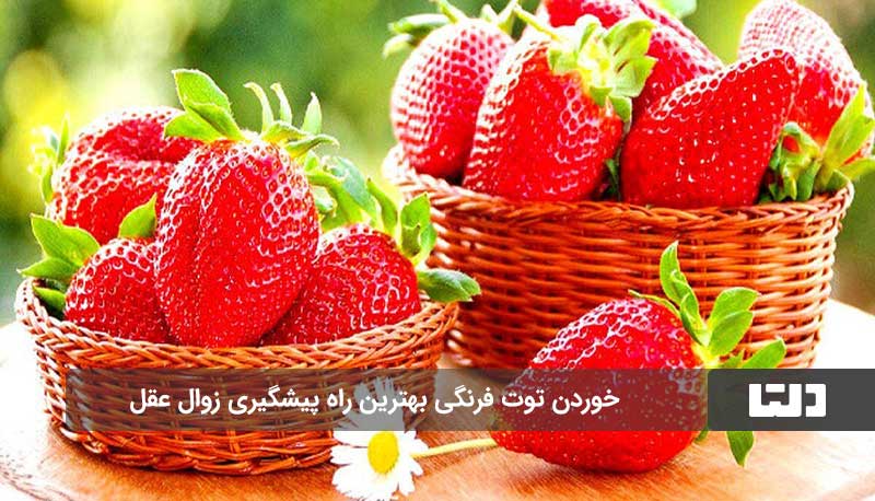 پیشگیری از زوال عقل