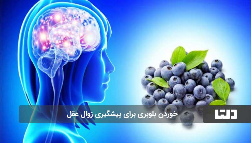 پیشگیری از زوال عقل