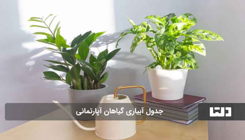 آبیاری گل های آپارتمانی