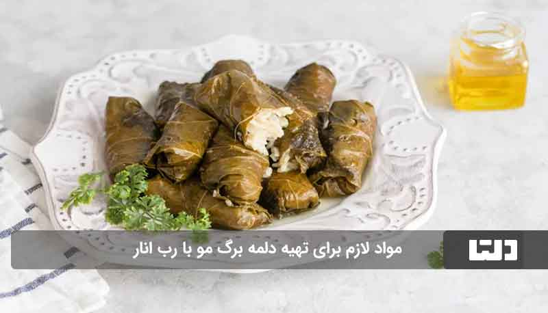 طرز تهیه دلمه برگ مو با رب انار و زرشک