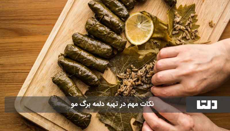 طرز تهیه دلمه برگ مو با رب انار و زرشک