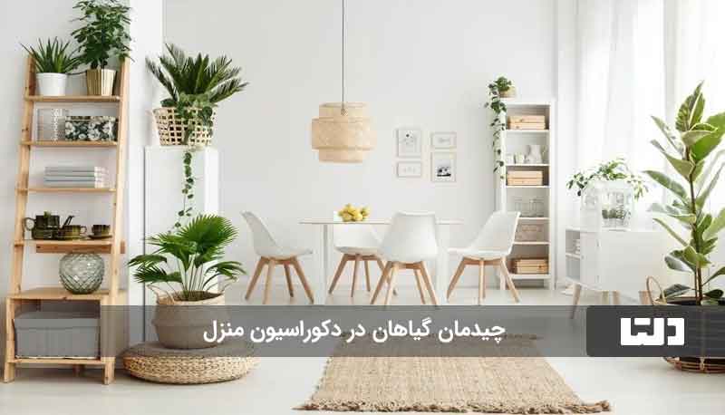 نکات زیباسازی دکوراسیون منزل