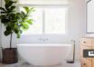 گیاهان آپارتمانی مناسب برای حمام