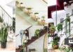 تزیین راه پله با گیاهان آپارتمانی