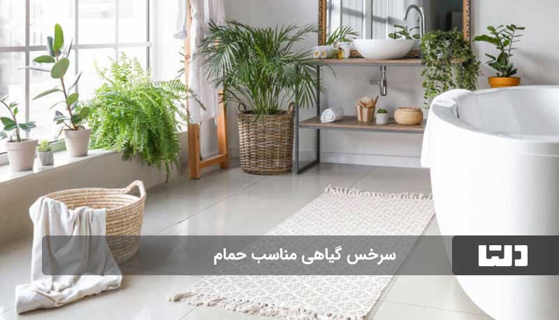 گیاهان آپارتمانی مناسب برای حمام