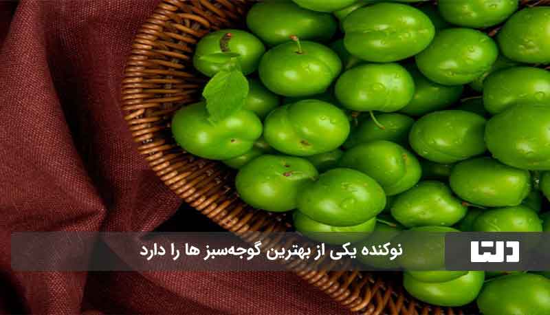 شهر گوجه سبز ایران 