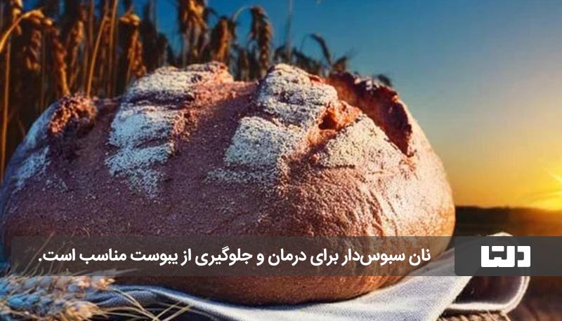 رژیم‌ چاقی