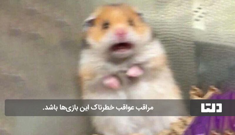 تجربه بازی با همستر