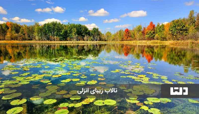 بندر انزلی