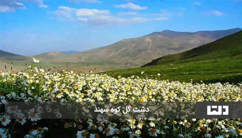 عروس کوه‌های ایران 
